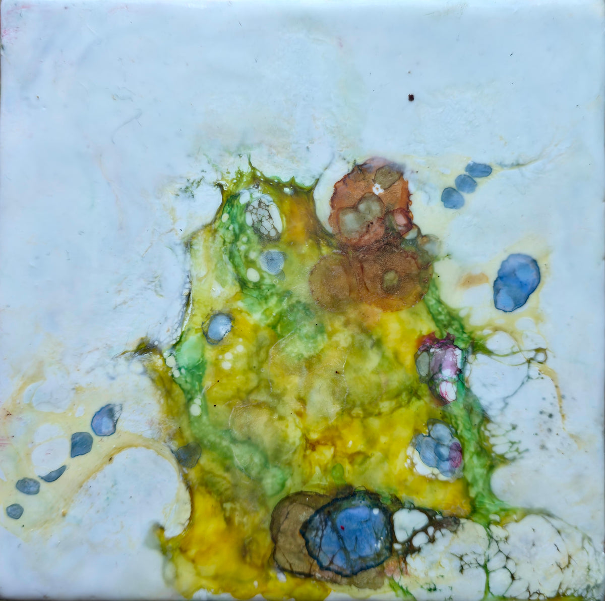 Tiny Experiment